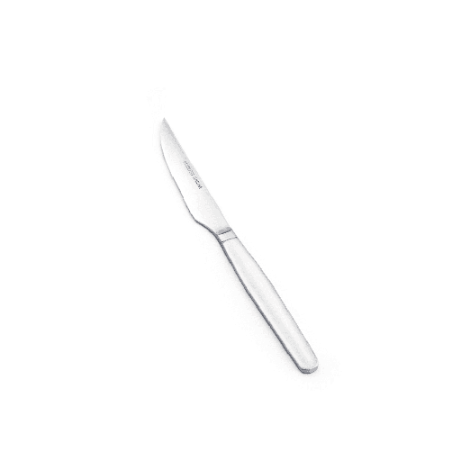 [CU-SB22-00005] SBT POSAT. DREAM INOX - Cuchillo Steak Monobloc Dream Inox, SAMBONET, 52515-19